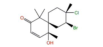 Compositacin C